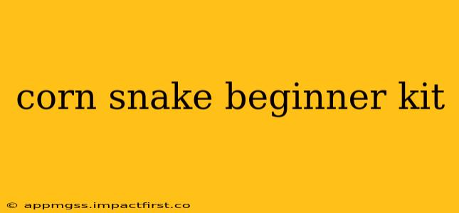 corn snake beginner kit