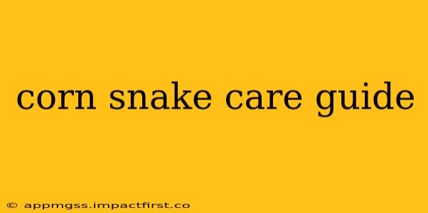 corn snake care guide