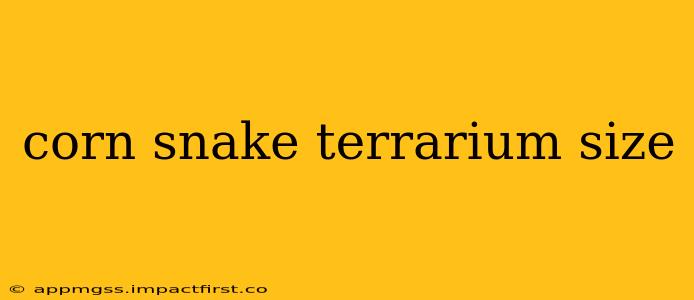 corn snake terrarium size