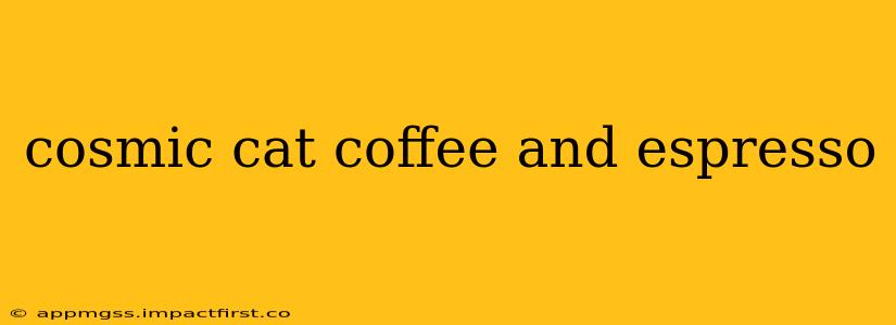 cosmic cat coffee and espresso