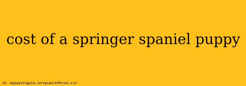 cost of a springer spaniel puppy