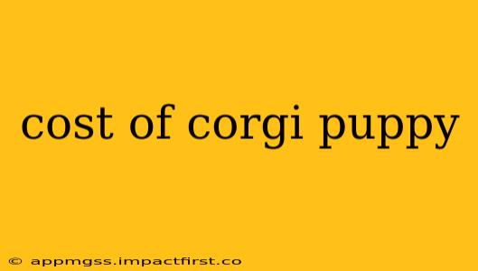 cost of corgi puppy