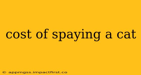 cost of spaying a cat