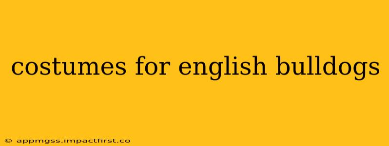 costumes for english bulldogs