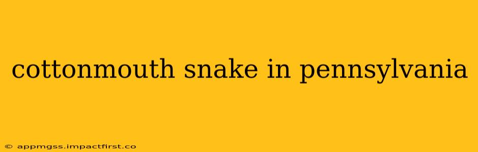 cottonmouth snake in pennsylvania