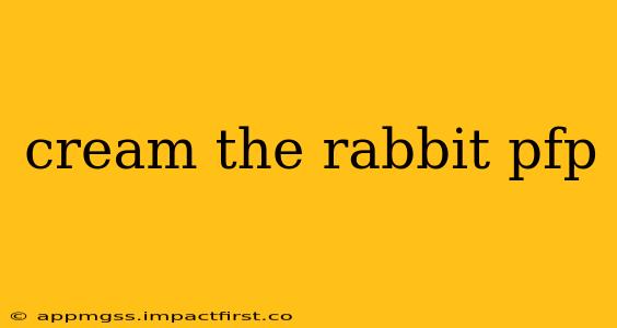 cream the rabbit pfp