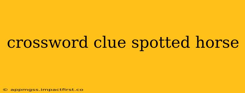 crossword clue spotted horse