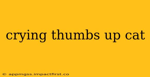 crying thumbs up cat