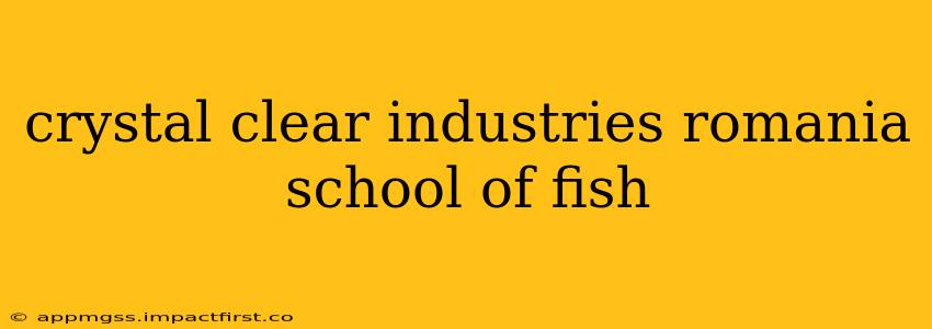crystal clear industries romania school of fish