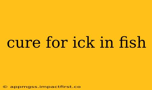 cure for ick in fish