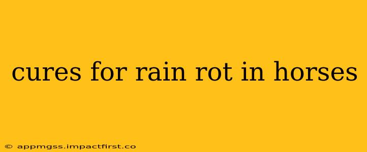 cures for rain rot in horses