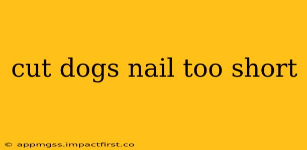 cut dogs nail too short