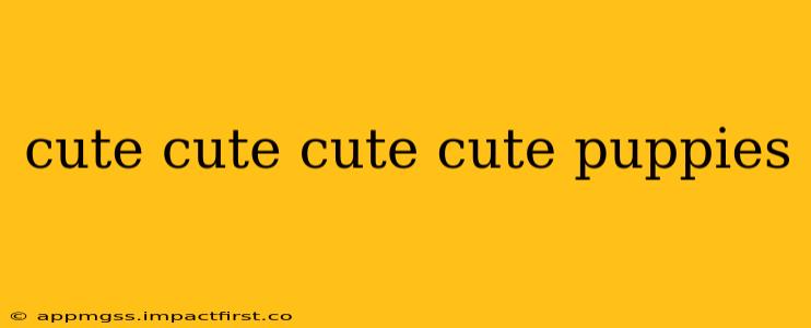cute cute cute cute puppies