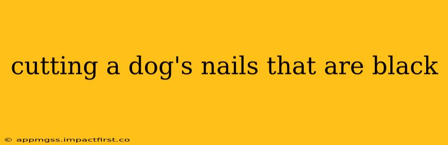 cutting a dog's nails that are black
