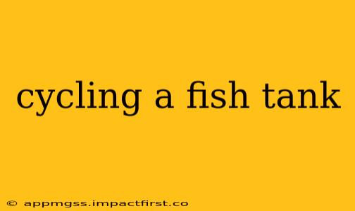 cycling a fish tank