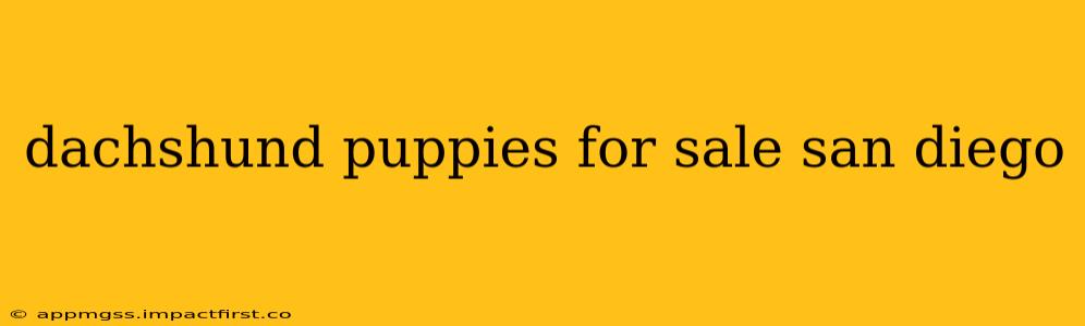 dachshund puppies for sale san diego
