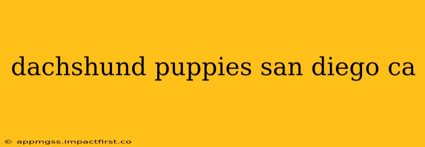 dachshund puppies san diego ca