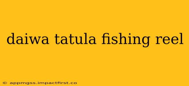 daiwa tatula fishing reel
