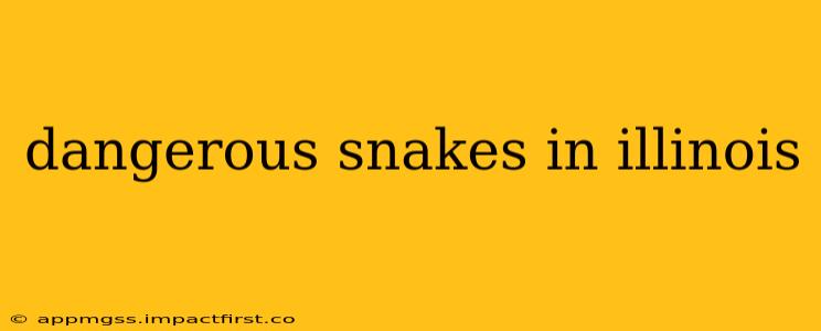 dangerous snakes in illinois
