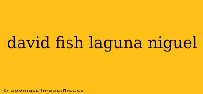 david fish laguna niguel