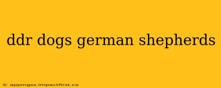 ddr dogs german shepherds