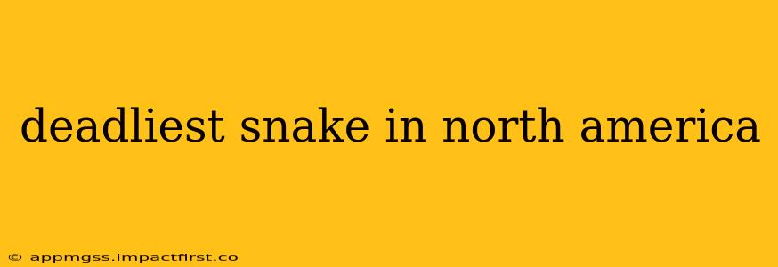 deadliest snake in north america