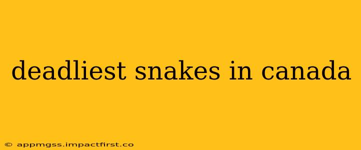 deadliest snakes in canada