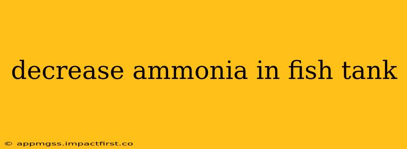 decrease ammonia in fish tank