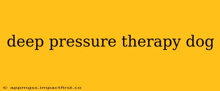 deep pressure therapy dog
