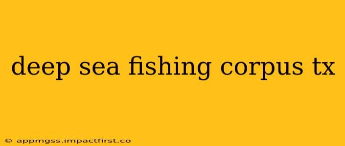 deep sea fishing corpus tx