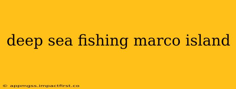 deep sea fishing marco island