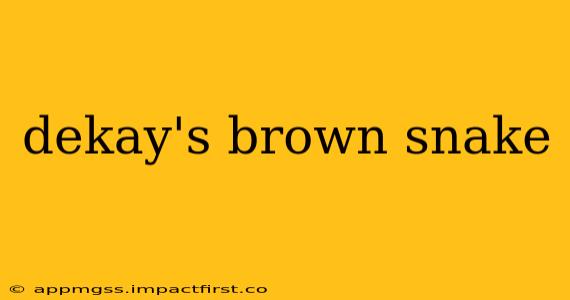 dekay's brown snake