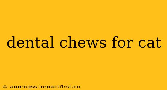 dental chews for cat