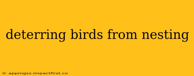 deterring birds from nesting