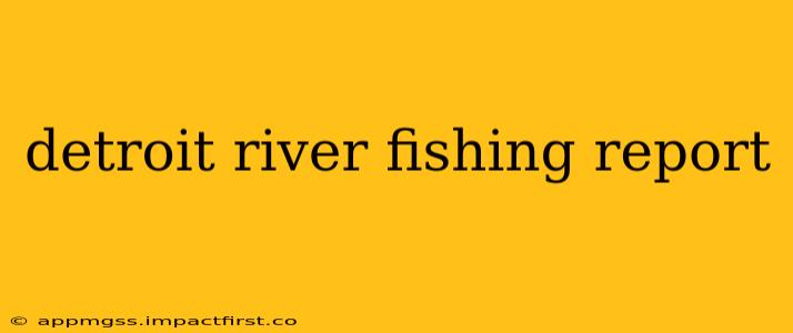detroit river fishing report