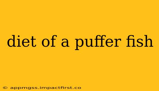 diet of a puffer fish