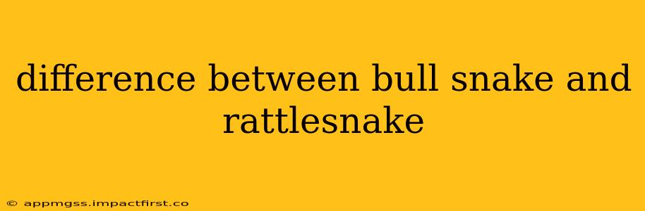 difference between bull snake and rattlesnake