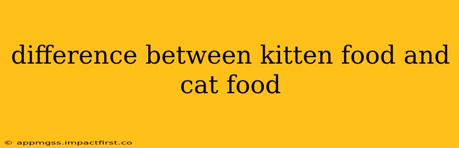 difference between kitten food and cat food