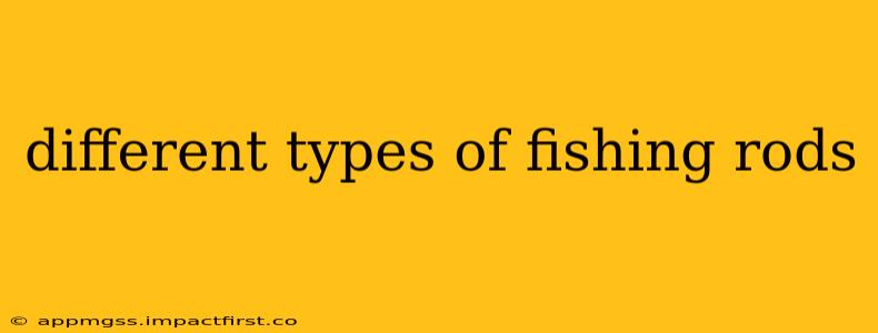 different types of fishing rods