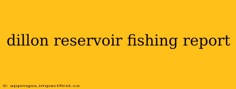 dillon reservoir fishing report