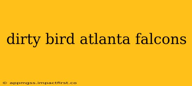 dirty bird atlanta falcons