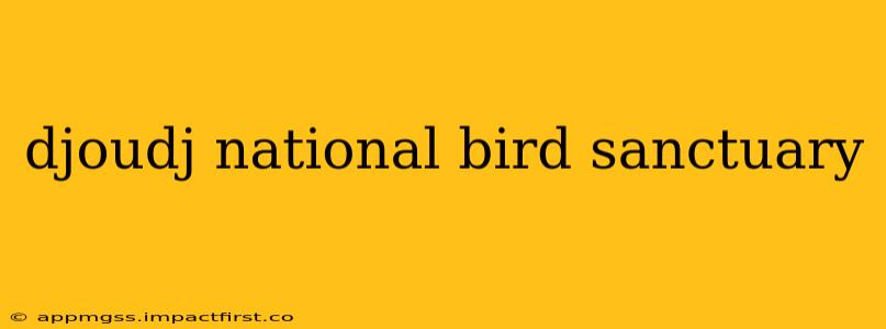 djoudj national bird sanctuary