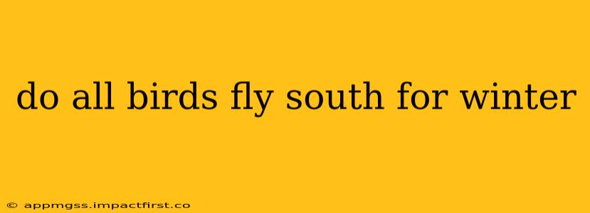 do all birds fly south for winter