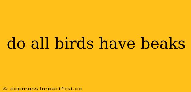 do all birds have beaks
