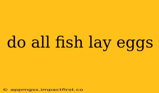 do all fish lay eggs