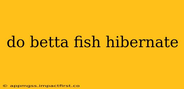 do betta fish hibernate