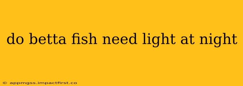 do betta fish need light at night