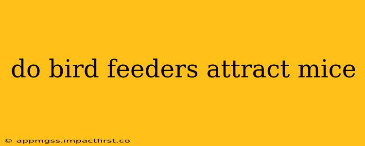 do bird feeders attract mice