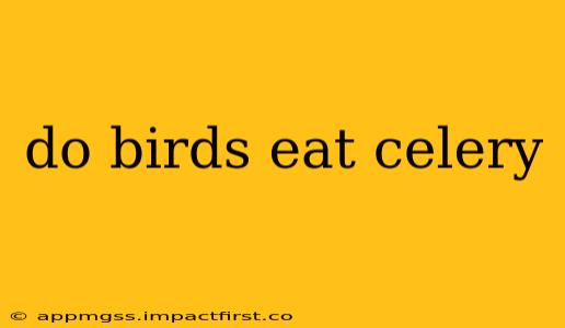 do birds eat celery