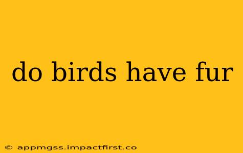 do birds have fur